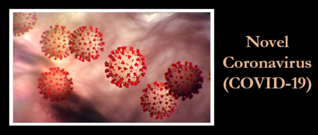 Coronovirus | COVID-19 image